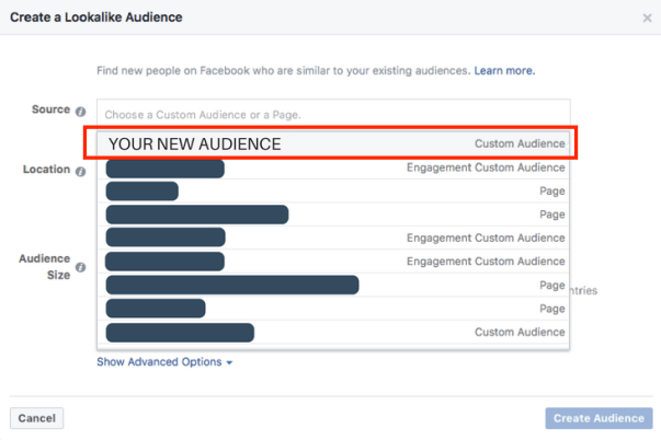 Inserting a custom audience into a Facebook ad set.
